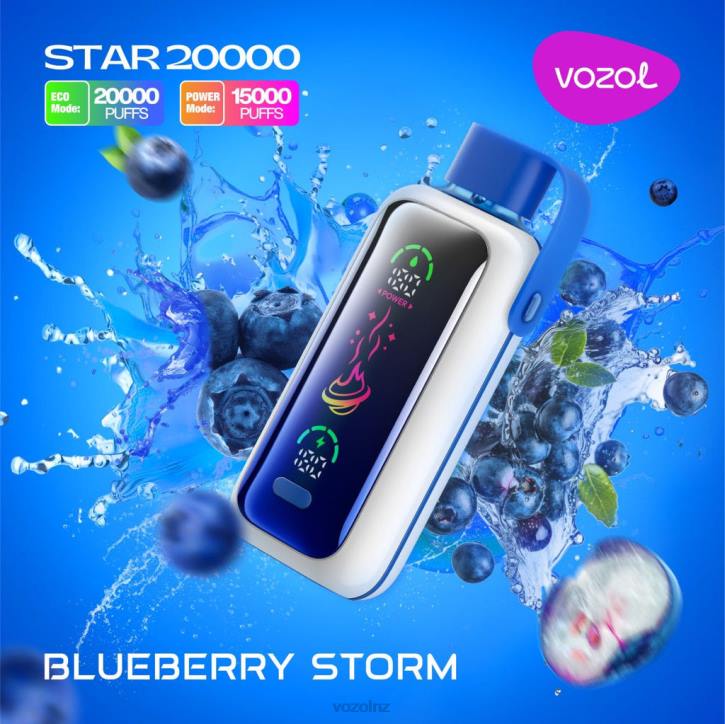 VOZOL Vape NZ Price - VOZOL STAR 20000 BLUEBERRY STORM 8LT65