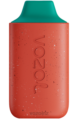 VOZOL Vape Wellington - VOZOL STAR 6000 LYCHEE GUAVA WATERMELON FDF0117