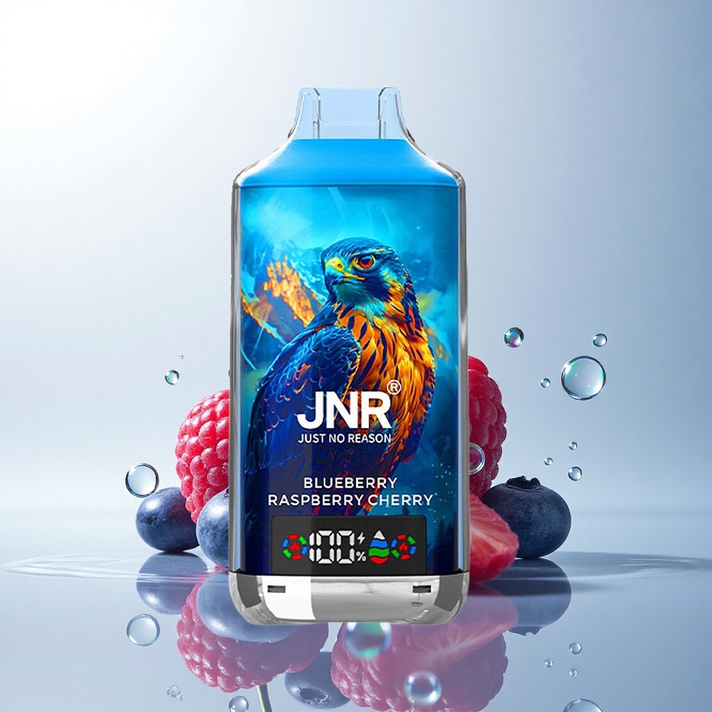 JNR Falcon X 18000 Blueberry Raspberry Cherry 750mAh 24ml Dual Mesh Coil Digital Display Type-C 0% 2% 5% Nicotine