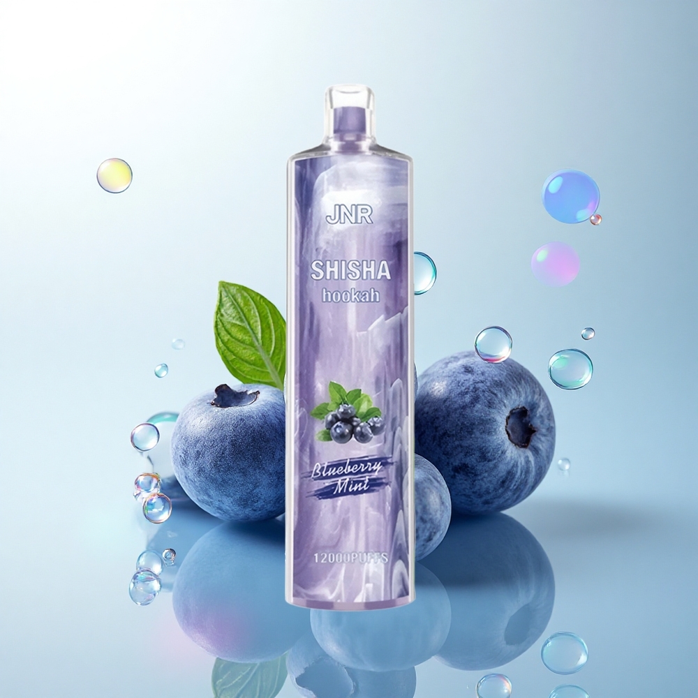 JNR Shisha Hookah 12000 Blueberry Mint 750mAh 24ml 0% Nicotine
