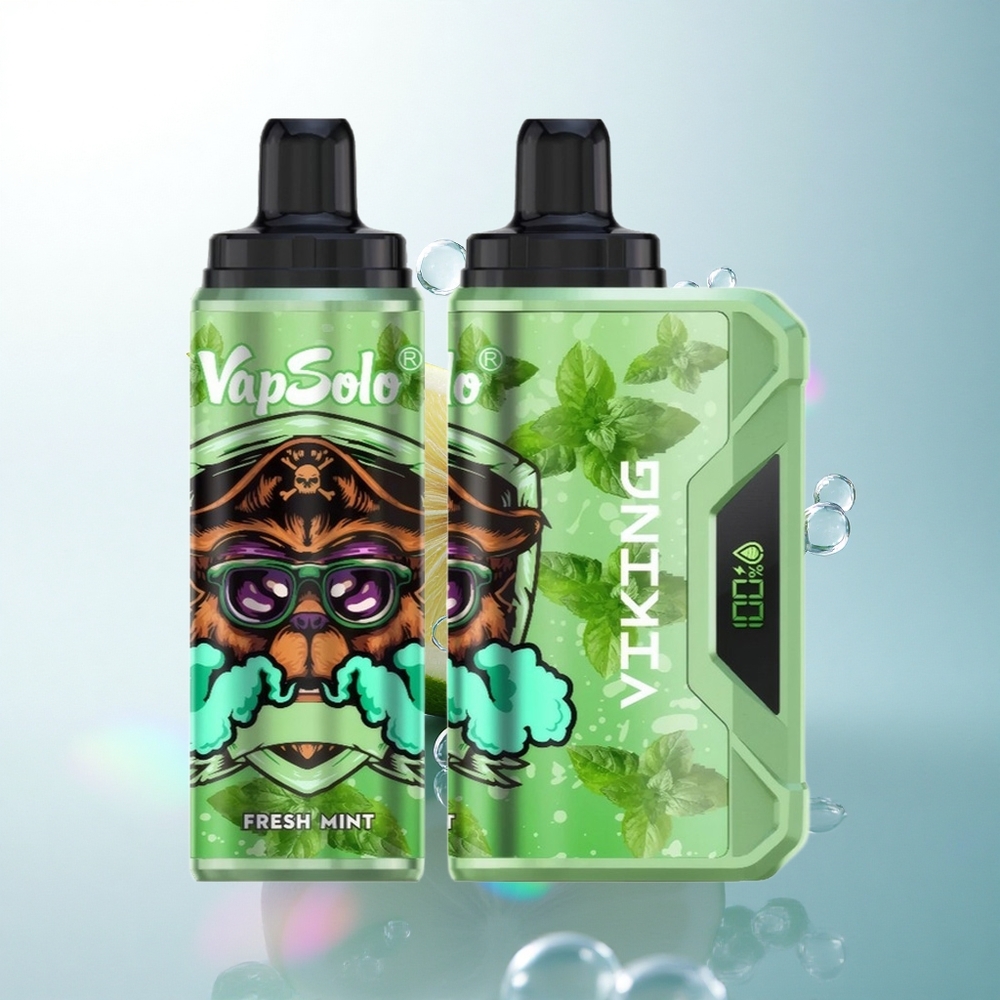 VapSolo VIKING 12000 Puffs Fresh Mint 22ml Nicotine 20mg/ml Type-C Charging